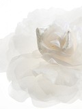 HT-201-002-1